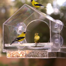 Comedero para pajaros