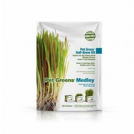 Pet grass Self-Grow kit -...