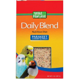 Daily Blend - Parakeet...