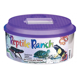 Corral Ventilado para Reptiles