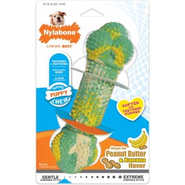 Nylabone Hueso Dental...