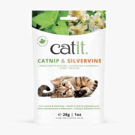 CATNIP Y SILVERVINE CAT IT