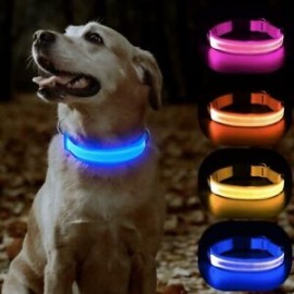 Collar LED amarillo M