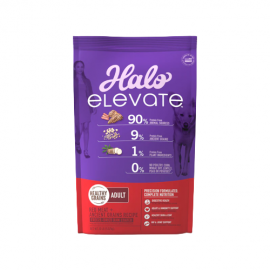 Halo Elevate Dog Healthy...