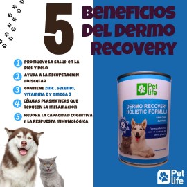 Pet Life Dermo-Recovery 300gr