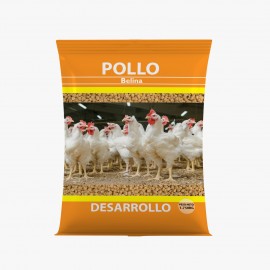 Pollos – Desarrollo