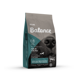 Balance Active Dog