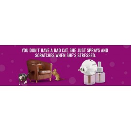 Comfort Zone 1 recambio de difusor de feromonas calmante para gatos (30  días) para un hogar tranquilo | Recomendado por veterinarios | Desestresa a  tu