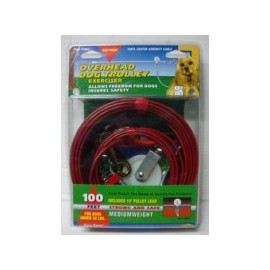 Cable 100 P(30.48 Mt)...