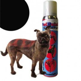 PET PAINT