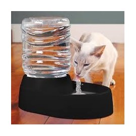 Pet Water Fountain