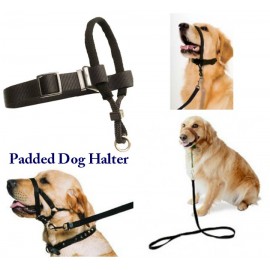 Padded Dog Halter Petmate