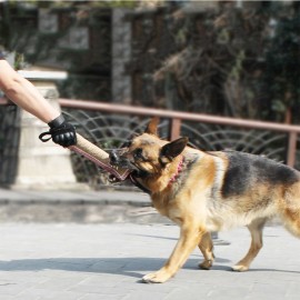 Juguete para entrenar perros