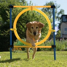 Games Agility Exercise