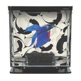 PECERA BETTA KIT DECORATIVA