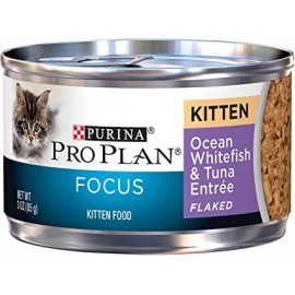 Purina focus kitten chicken...