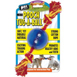 Pooch tug a pelota con cuerda