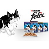 Purina Felix