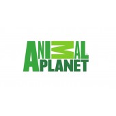 animal planet