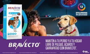 bravecto peq