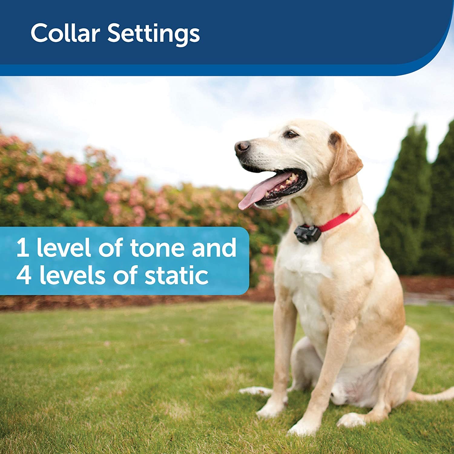 PetSafe - Valla básica para perros y gatos