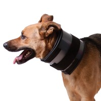Bite Free Cervical Collar 19"23"