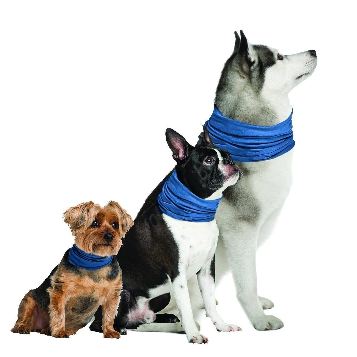 K9 Chill Pet Products Dog Cooling Collar, Blue
