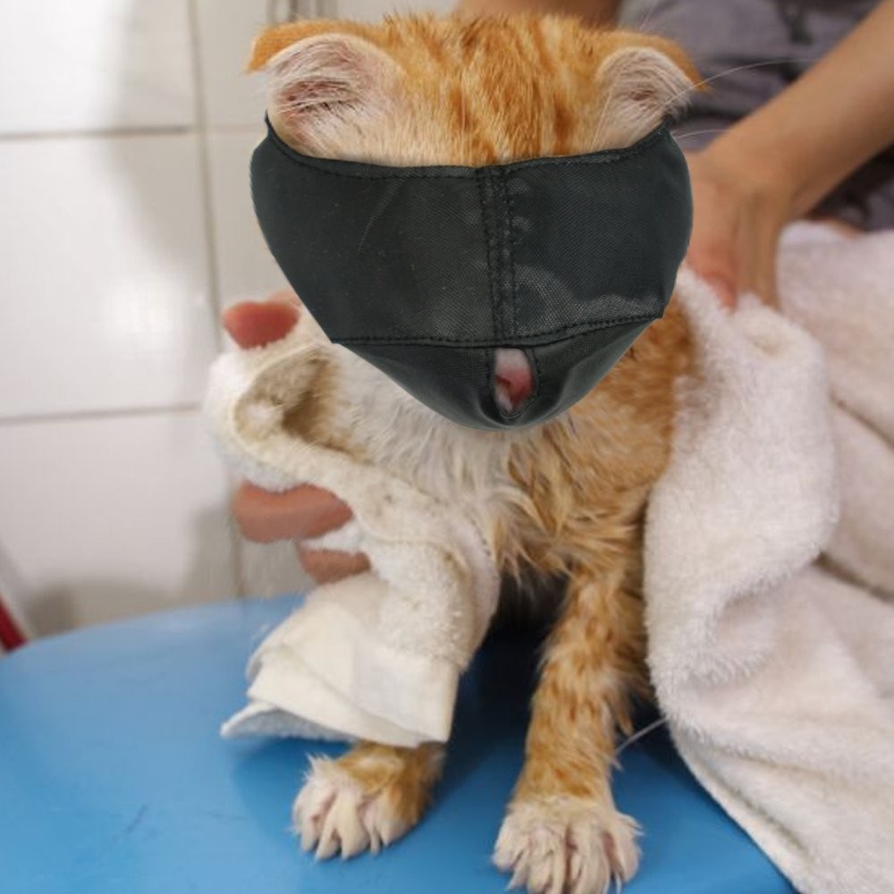 Bozal para gato nylon