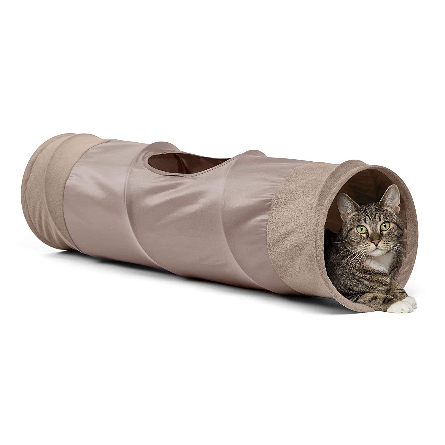 Cat Tunel