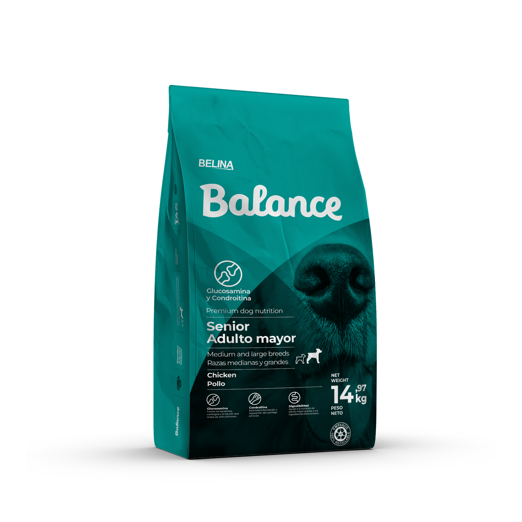Balance Senior