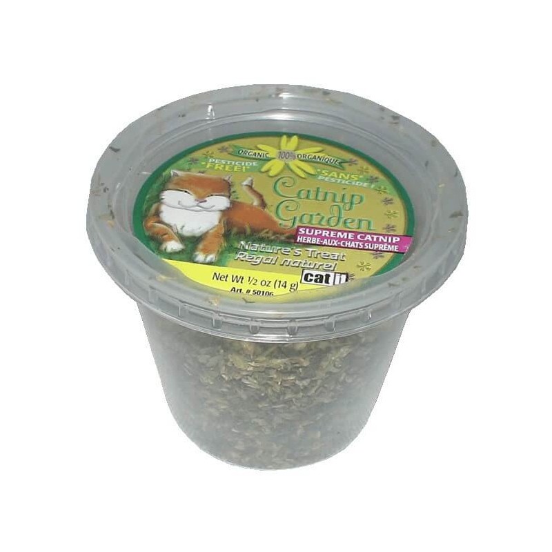 Catnip - hierba gatera