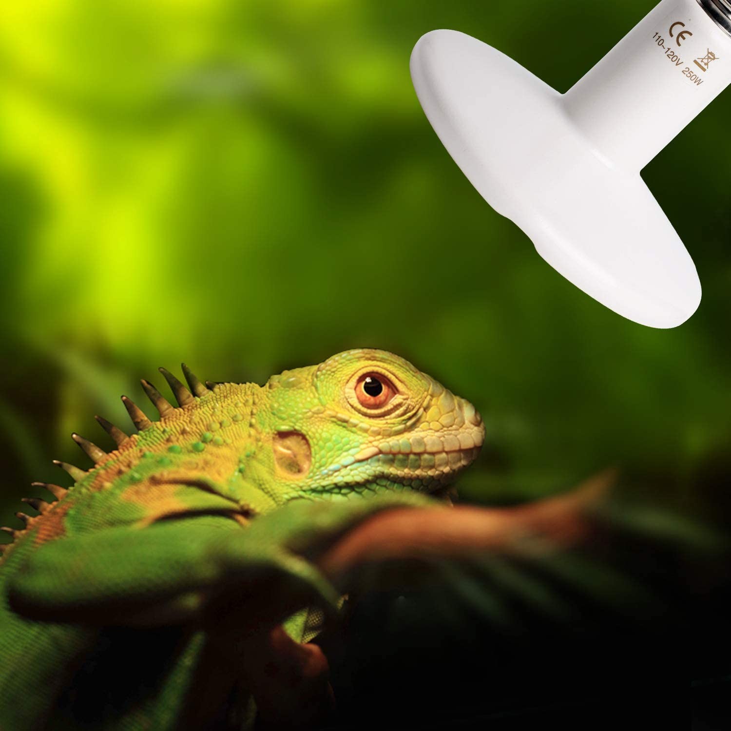 Lámpara de calor de cerámica para reptiles