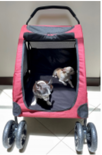 Coche Pet Carts Rojo 110 Lb