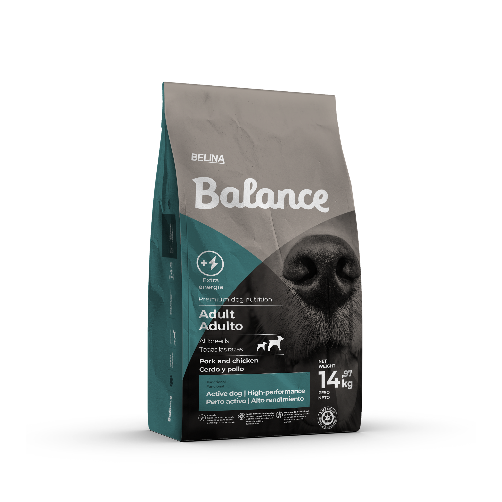 Balance Active Dog