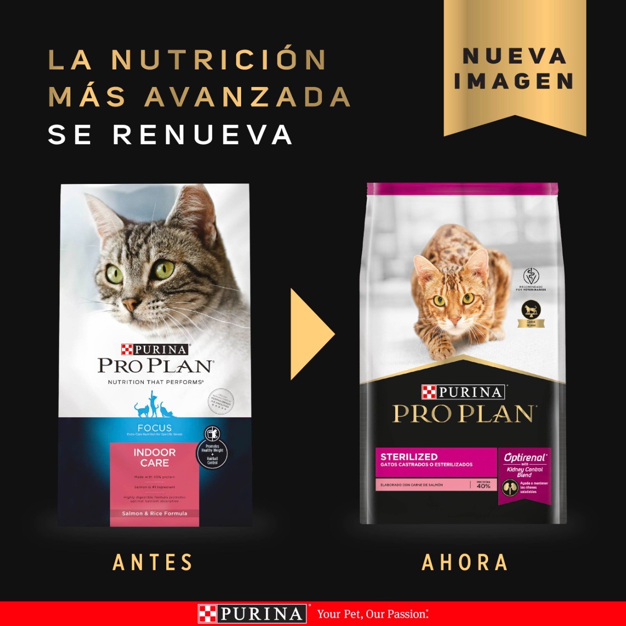 Pro Plan Cat Focus Indoor Care 3kg