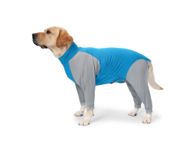 Camisa Post Quirurgica Con Patas Celeste Medium