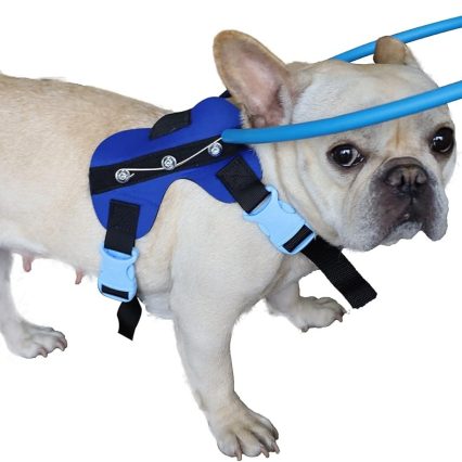 Dispositivo guía de arnés ciego para perro xs
