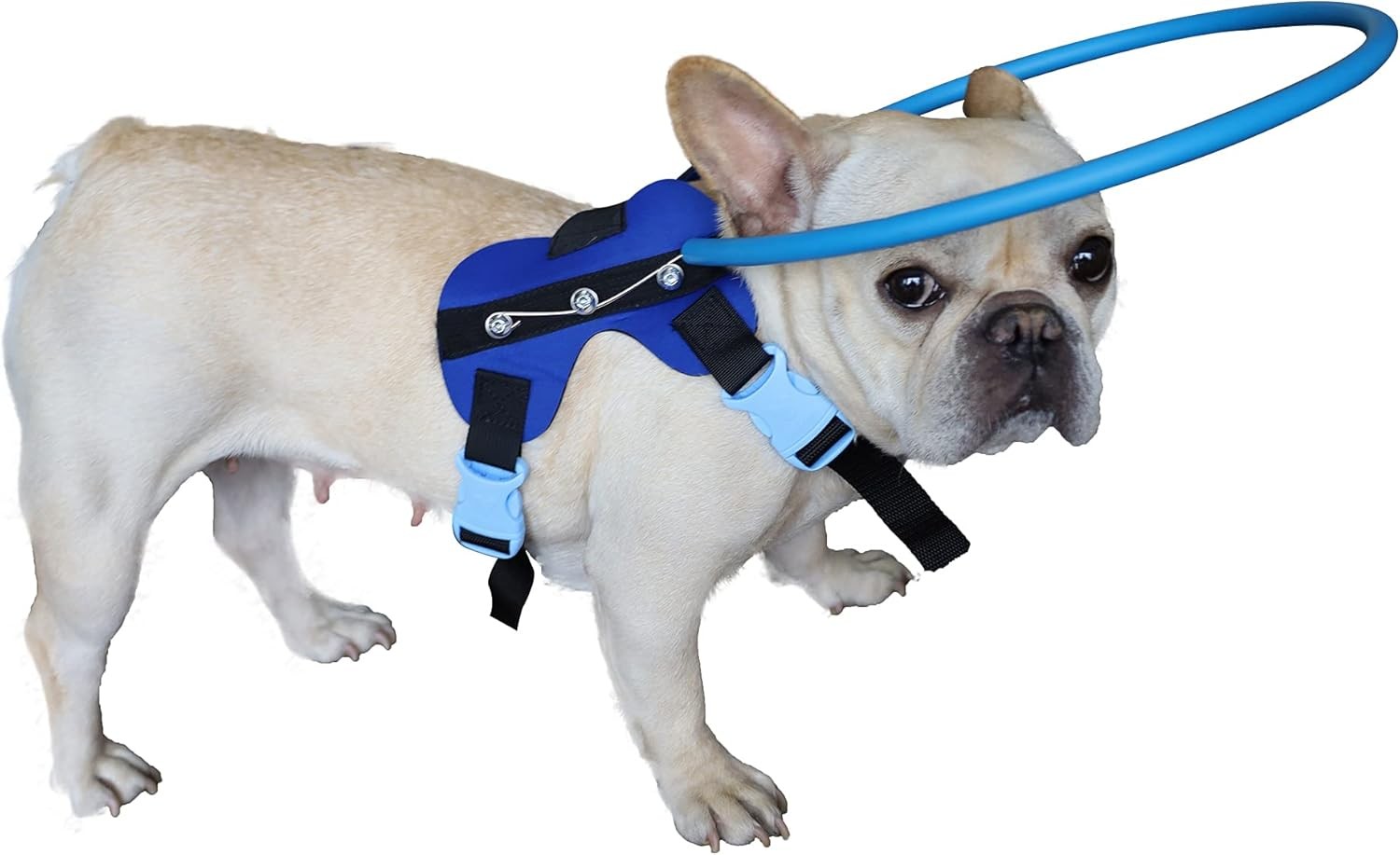 Dispositivo guía de arnés ciego para perro S