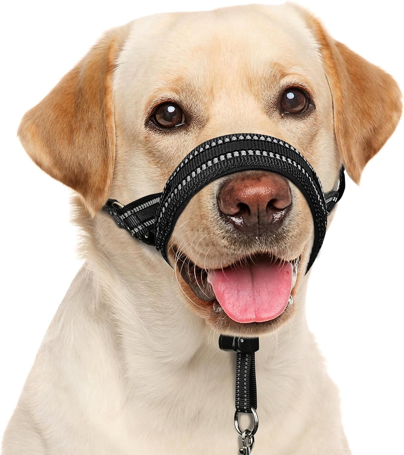 Collar suave para cabeza de perro
